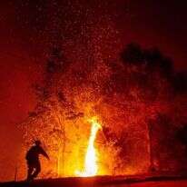 השריפה בקליפורניה. | AFP השריפה בקליפורניה. | AFP