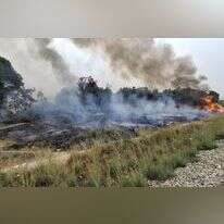 השריפה היום | צילום: יריב מליחי, רשות הטבע והגנים השריפה היום | צילום: יריב מליחי, רשות הטבע והגנים