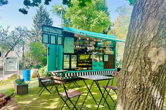 סיפתח | רקל ליפשיץ פילזר סיפתח | רקל ליפשיץ פילזר