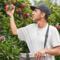 אייל מרגולין - ג׳יני אייל מרגולין - ג׳יני