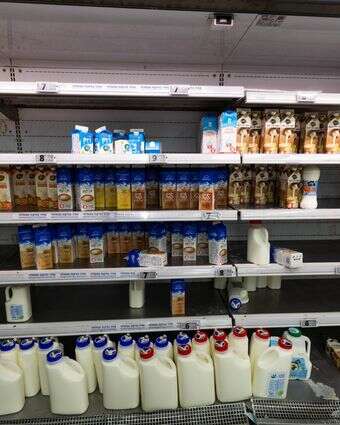 מחסור בחלב הוא עניין שגרתי בישראל. מדף בסופרמרקט בירושלים | אורן בן־חקון מחסור בחלב הוא עניין שגרתי בישראל. מדף בסופרמרקט בירושלים | אורן בן־חקון