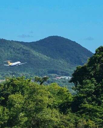 וילה בג'ונגל אחר. אילוסטרציה | גטי אימג'ס וילה בג'ונגל אחר. אילוסטרציה | גטי אימג'ס