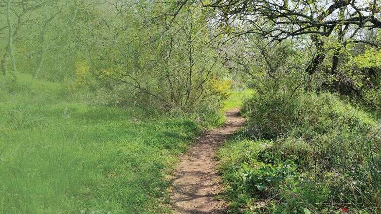 שלוות עולמים | צק אין אאוט שלוות עולמים | צק אין אאוט