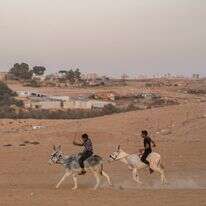 פזורה בדואית בנגב | יניב נדב, פלאש 90 פזורה בדואית בנגב | יניב נדב, פלאש 90