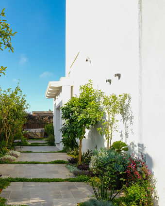 גינה לי חביבה- דף הבית | עינת גזית, תכנון גינונים-תכנון והקמת גינות גינה לי חביבה- דף הבית | עינת גזית, תכנון גינונים-תכנון והקמת גינות