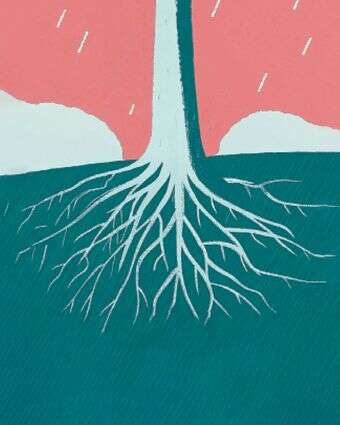 על הדבש ועל העוקץ דף הבית | ללא על הדבש ועל העוקץ דף הבית | ללא