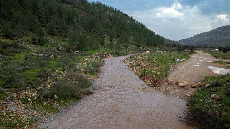 נחל חילזון | מישל דוט קום נחל חילזון | מישל דוט קום
