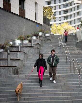 מטיילים עם הכלבים שלהם בתל אביב | מרים אלסטר/FLASH90 מטיילים עם הכלבים שלהם בתל אביב | מרים אלסטר/FLASH90