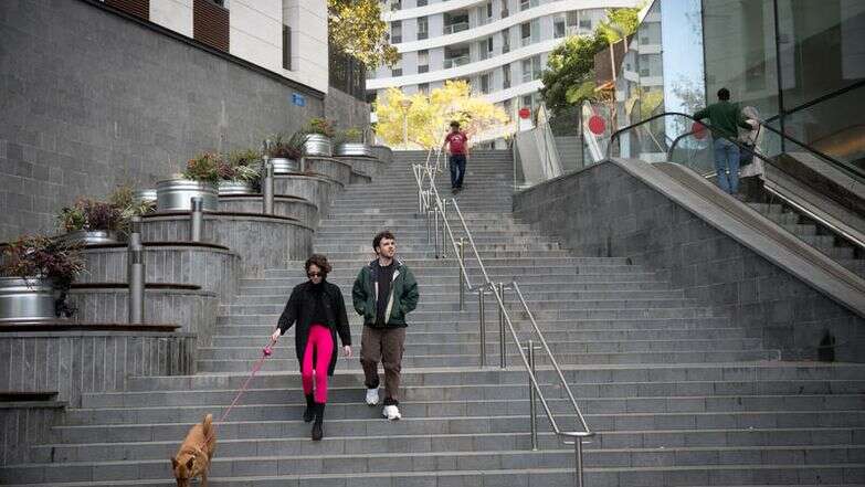 מטיילים עם הכלבים שלהם בתל אביב | מרים אלסטר/FLASH90 מטיילים עם הכלבים שלהם בתל אביב | מרים אלסטר/FLASH90