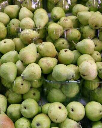 אגסים בסופר | נתי שוחט/פלאש 90. אגסים בסופר | נתי שוחט/פלאש 90.