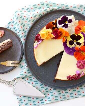 עוגת גבינה ושוקולד | אפרת ליכטנשטט עוגת גבינה ושוקולד | אפרת ליכטנשטט