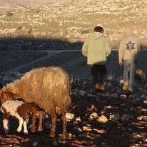 נוער הגבעות, אילוסטרציה | מרים צחי נוער הגבעות, אילוסטרציה | מרים צחי