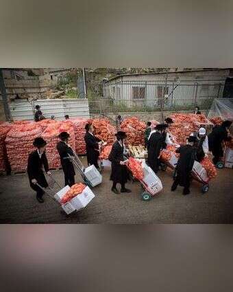 קניות לפסח. אילוסטרציה | יונתן זינדל, פלאש 90 קניות לפסח. אילוסטרציה | יונתן זינדל, פלאש 90