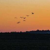 זריחה בשדות עמק יזרעאל. | ענת הרמוני, פלאש 90 זריחה בשדות עמק יזרעאל. | ענת הרמוני, פלאש 90