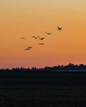 זריחה בשדות עמק יזרעאל. | ענת הרמוני, פלאש 90 זריחה בשדות עמק יזרעאל. | ענת הרמוני, פלאש 90