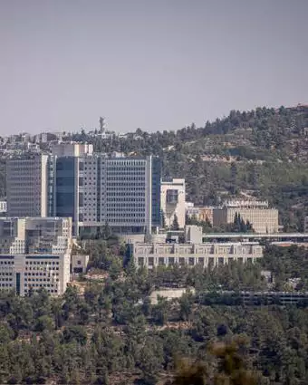 המרכז הרפואי הדסה עין כרם. | יונתן זינדל, פלאש 90 המרכז הרפואי הדסה עין כרם. | יונתן זינדל, פלאש 90