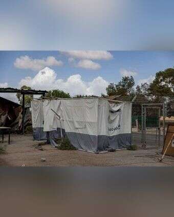 הסוכות משנה שעברה עדיין עומדות על תילן. נחל־עוז, השבוע. | נעמה שטרן הסוכות משנה שעברה עדיין עומדות על תילן. נחל־עוז, השבוע. | נעמה שטרן