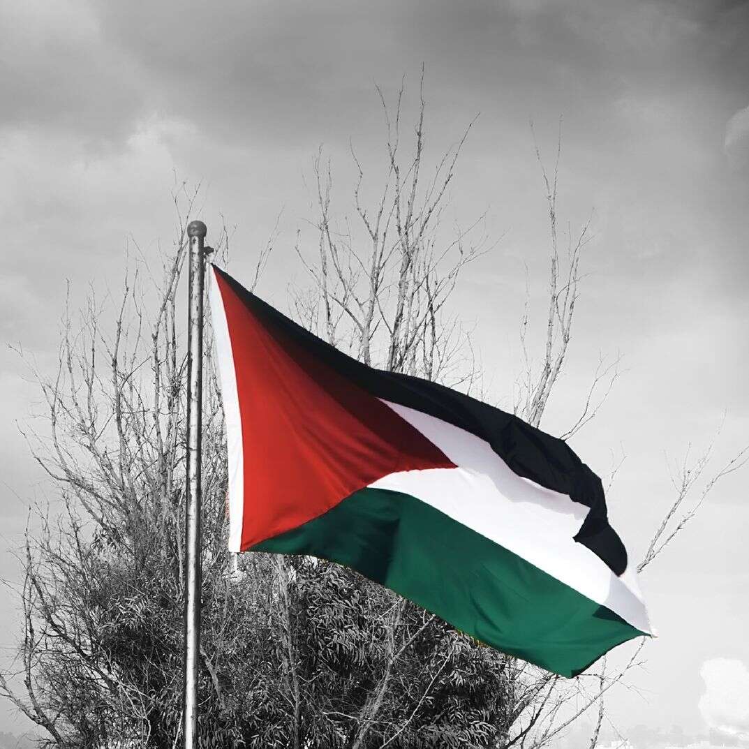 שאטרסטוק שאטרסטוק