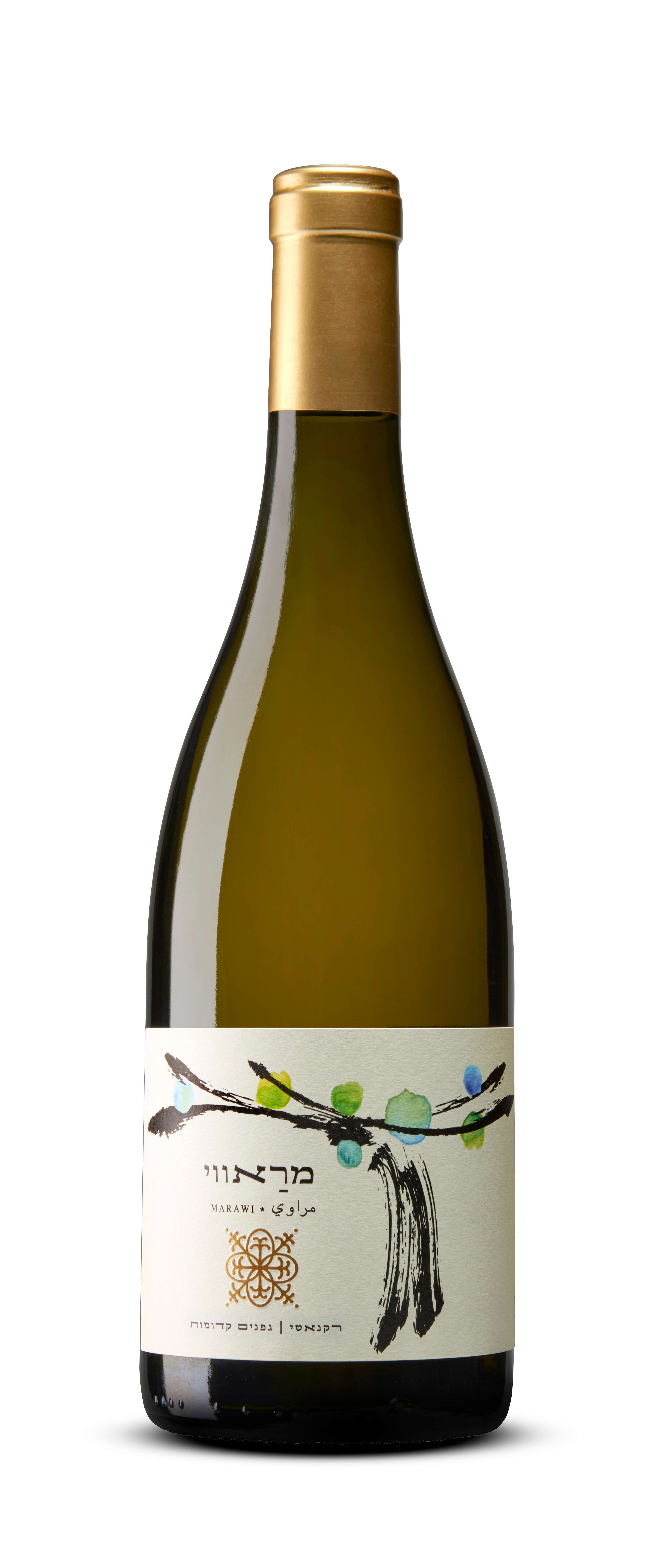 רקנאטי מראווי | עמרי מירון רקנאטי מראווי | עמרי מירון