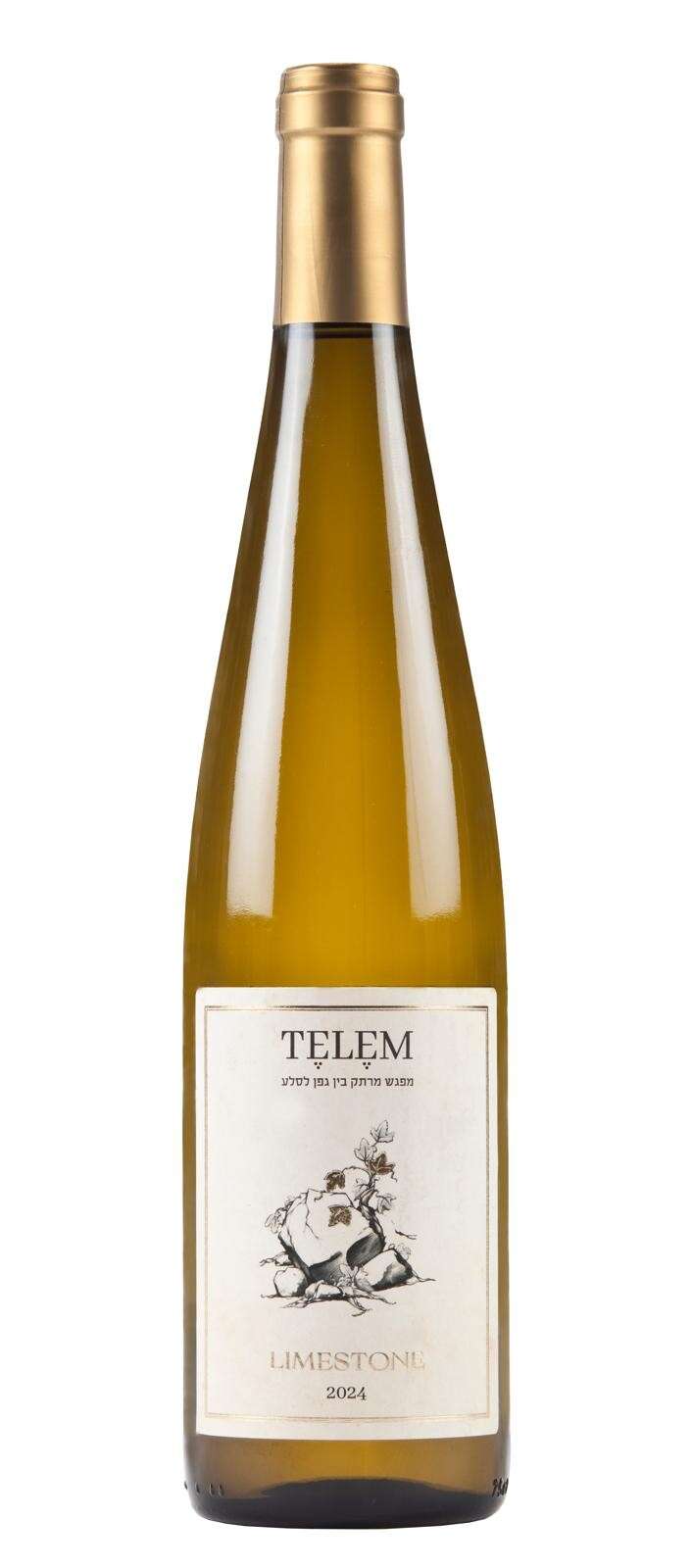 תלם | עמית שטראו תלם | עמית שטראו