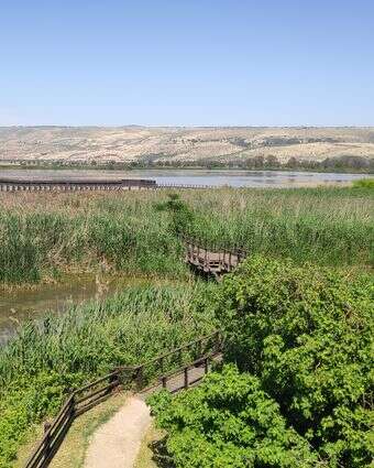 שמורת הטבע החולה | צ'ק אין אאוט שמורת הטבע החולה | צ'ק אין אאוט