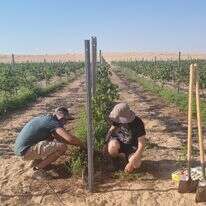 תיירות שמעצימה את החקלאות. יקב תושיה | דיוויד סילברמן תיירות שמעצימה את החקלאות. יקב תושיה | דיוויד סילברמן