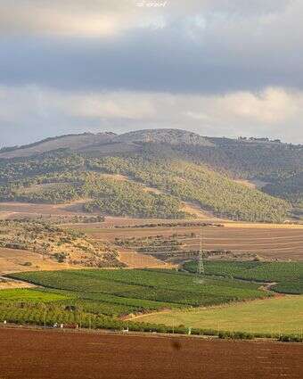 עמק יזרעאל | אדי ישראל - פלאש 90 עמק יזרעאל | אדי ישראל - פלאש 90