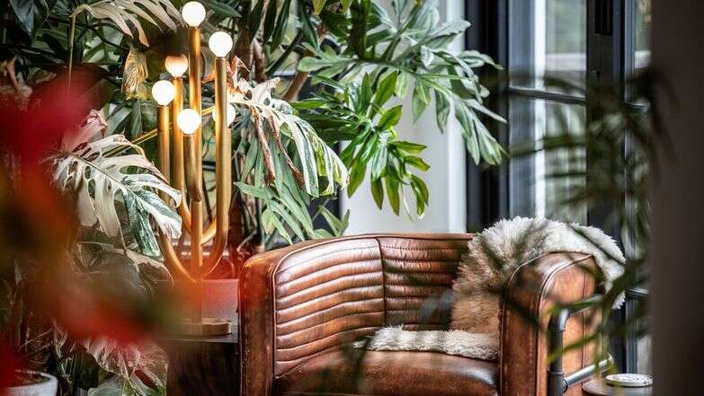 פינת ישיבה שבמרכזה צמחים | הילטון קרטר, דרך AP פינת ישיבה שבמרכזה צמחים | הילטון קרטר, דרך AP