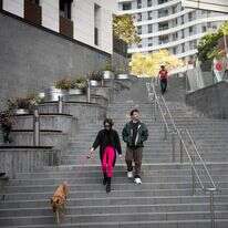 אנשים וכלבים מטיילים בתל אביב | מרים אלסטר/FLASH90 אנשים וכלבים מטיילים בתל אביב | מרים אלסטר/FLASH90