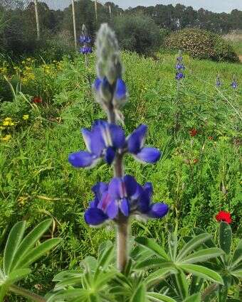 מערות אפקה | צ'ק אין אאוט מערות אפקה | צ'ק אין אאוט