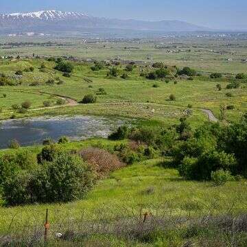 גבול ישראל-סוריה | מיכאל גלעדי, פלאש 90 גבול ישראל-סוריה | מיכאל גלעדי, פלאש 90