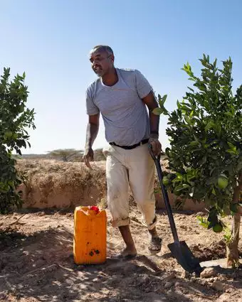 חקלאי בסומלילנד, שמקווה לקבל עזרה מישראל | AFP חקלאי בסומלילנד, שמקווה לקבל עזרה מישראל | AFP