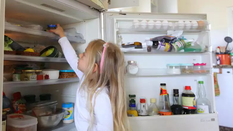 מקרר ביתי | חן לאופולד / Flash90 מקרר ביתי | חן לאופולד / Flash90