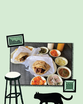 דור המילניום חתוליות | ג'ו ונאווה דור המילניום חתוליות | ג'ו ונאווה