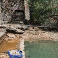 פרשת המים | אייל מרגולין - ג'יני פרשת המים | אייל מרגולין - ג'יני