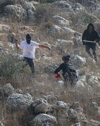 נערי גבעות בעונת מסיק הזיתים בכפר ביתא | נאצר אישתיה - פלאש90 נערי גבעות בעונת מסיק הזיתים בכפר ביתא | נאצר אישתיה - פלאש90
