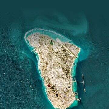 אי שקט | AFP אי שקט | AFP