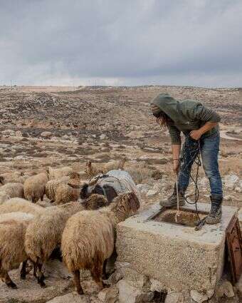 רעיית צאן בשומרון | חיים גולדברג - פלאש 90 רעיית צאן בשומרון | חיים גולדברג - פלאש 90