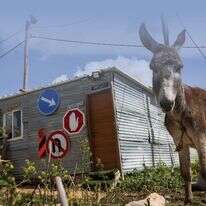 החצר האחורית | אריק סולטן החצר האחורית | אריק סולטן