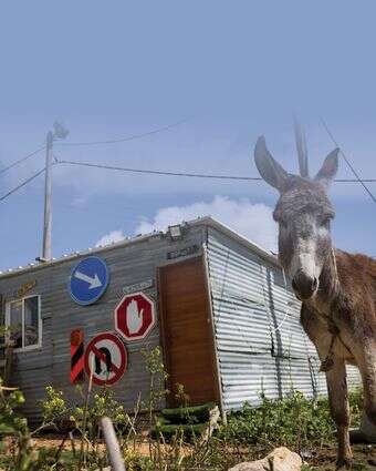 החצר האחורית | אריק סולטן החצר האחורית | אריק סולטן