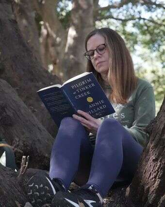 קלייר ג'פריס קוראת ספר של עץ אלון במהלך "אמבטיית יער" | AP/אלן ג'י בריד קלייר ג'פריס קוראת ספר של עץ אלון במהלך "אמבטיית יער" | AP/אלן ג'י בריד