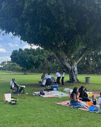 גן לאומי רמת גן | צ'ק אין אאוט גן לאומי רמת גן | צ'ק אין אאוט