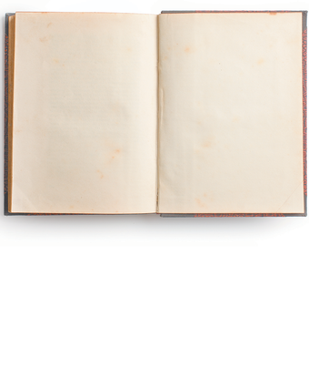 בזכות נשים למדניות | בינה מלאכותית בזכות נשים למדניות | בינה מלאכותית