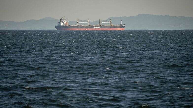 ספינת מטען מפליגה דרך מפרץ טוקיו בדרך למצרי הורמוז | AFP ספינת מטען מפליגה דרך מפרץ טוקיו בדרך למצרי הורמוז | AFP