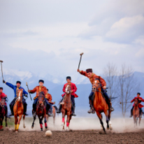 על הסוס | גטי אימג'ס על הסוס | גטי אימג'ס