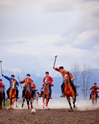 על הסוס | גטי אימג'ס על הסוס | גטי אימג'ס