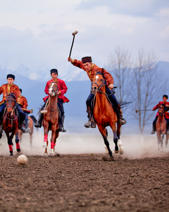 על הסוס דף הבית | גטי אימג'ס על הסוס דף הבית | גטי אימג'ס