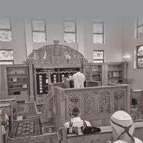 הג'והורים | מיכאל טוכפלד הג'והורים | מיכאל טוכפלד