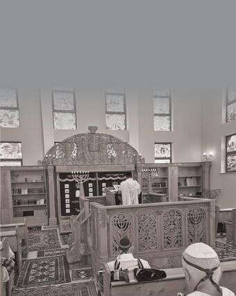 הג'והורים | מיכאל טוכפלד הג'והורים | מיכאל טוכפלד