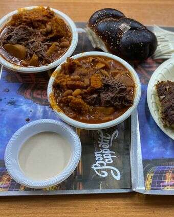 חתוליות הנני מוכן דף הבית | ג'ו ונאוה חתוליות הנני מוכן דף הבית | ג'ו ונאוה